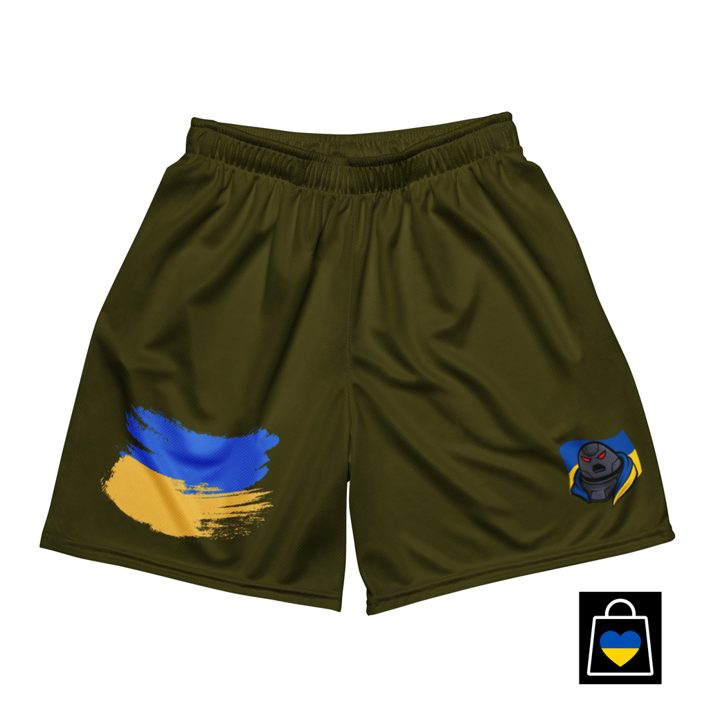 Slava mesh shorts
