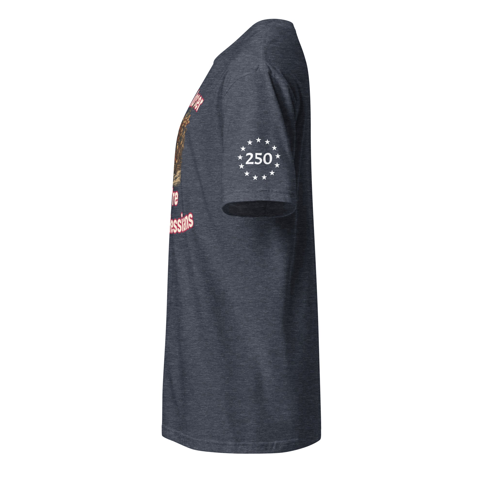USA 250 T-Shirt